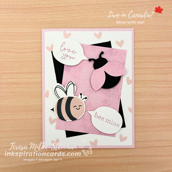 Valentine's Day Card with Hello Ladybug